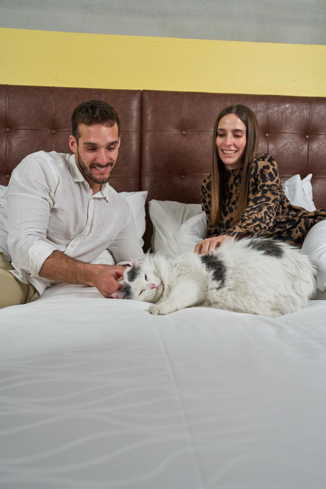Pullman Santiago El Bosque Hotell Exteriör bild A cat with its owners